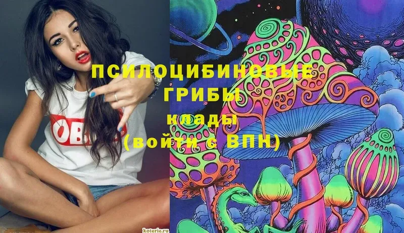 Псилоцибиновые грибы MAGIC MUSHROOMS  где продают   Петровск-Забайкальский 